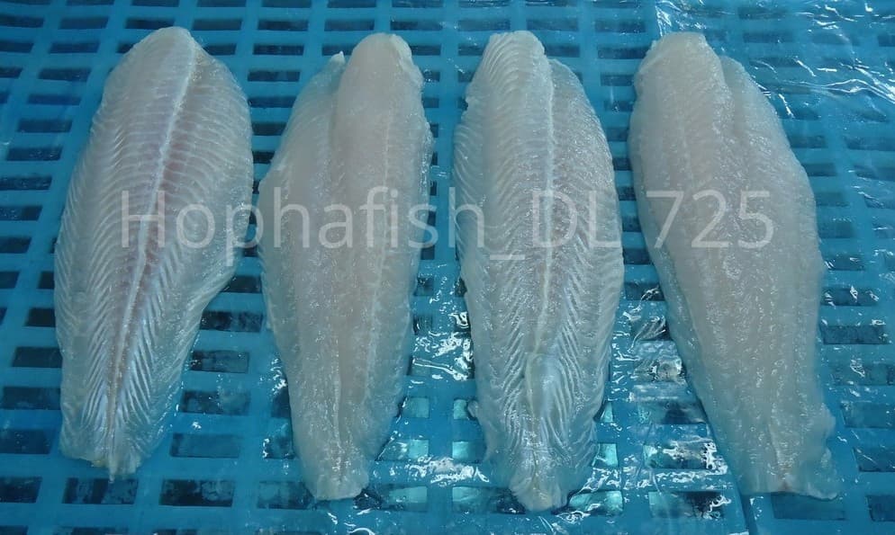 Pangasius fillet Well Trimmed